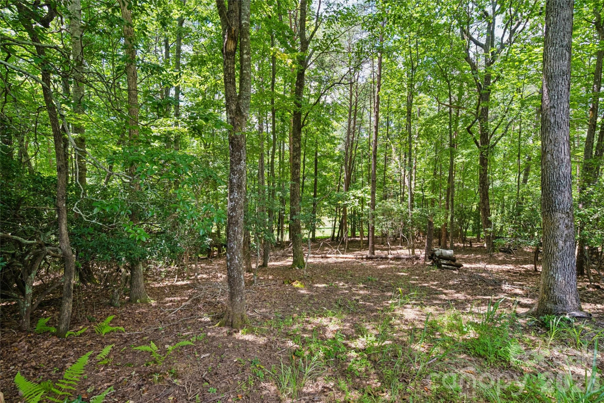 1545 Country View Way #302 - Photo 11