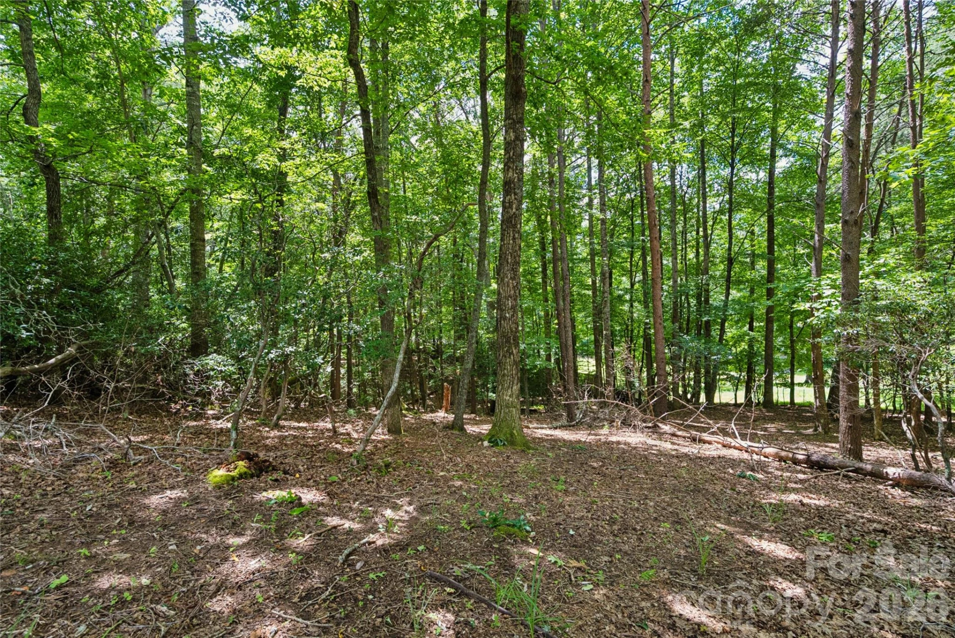 1545 Country View Way #302 - Photo 12