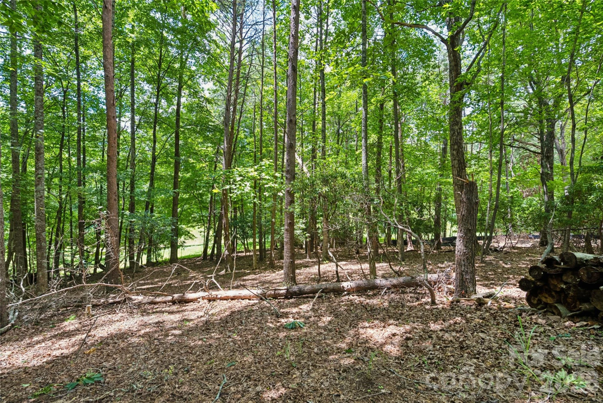 1545 Country View Way #302 - Photo 13