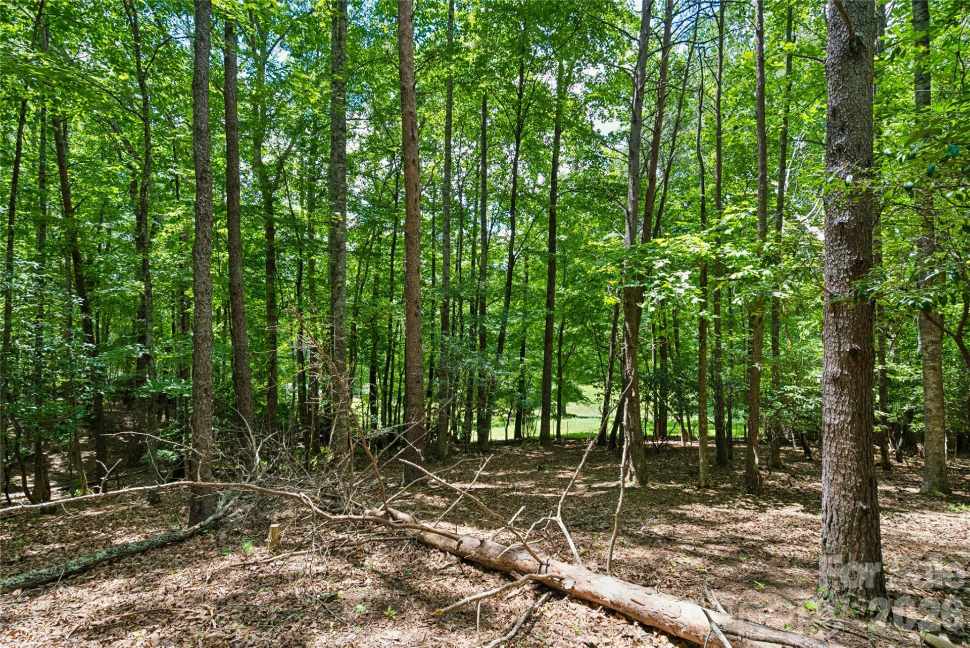 1545 Country View Way #302 - Photo 14