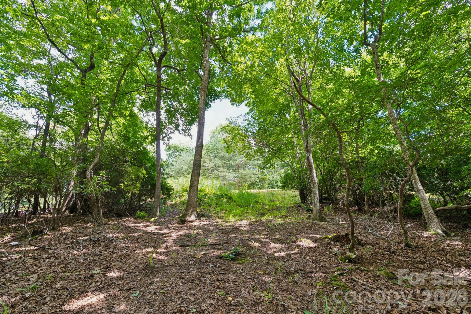 1545 Country View Way #302 - Photo 15