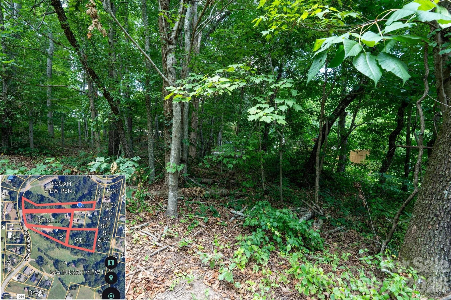 230 Pisgah View Road - Photo 11
