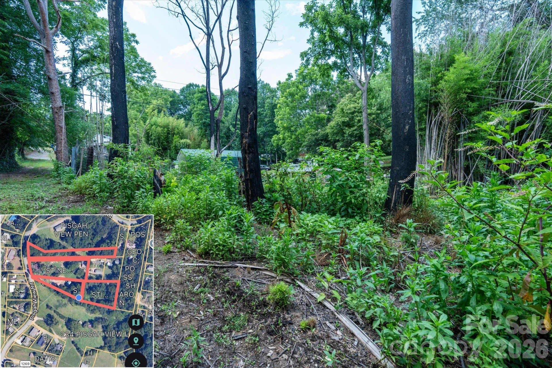 230 Pisgah View Road - Photo 18