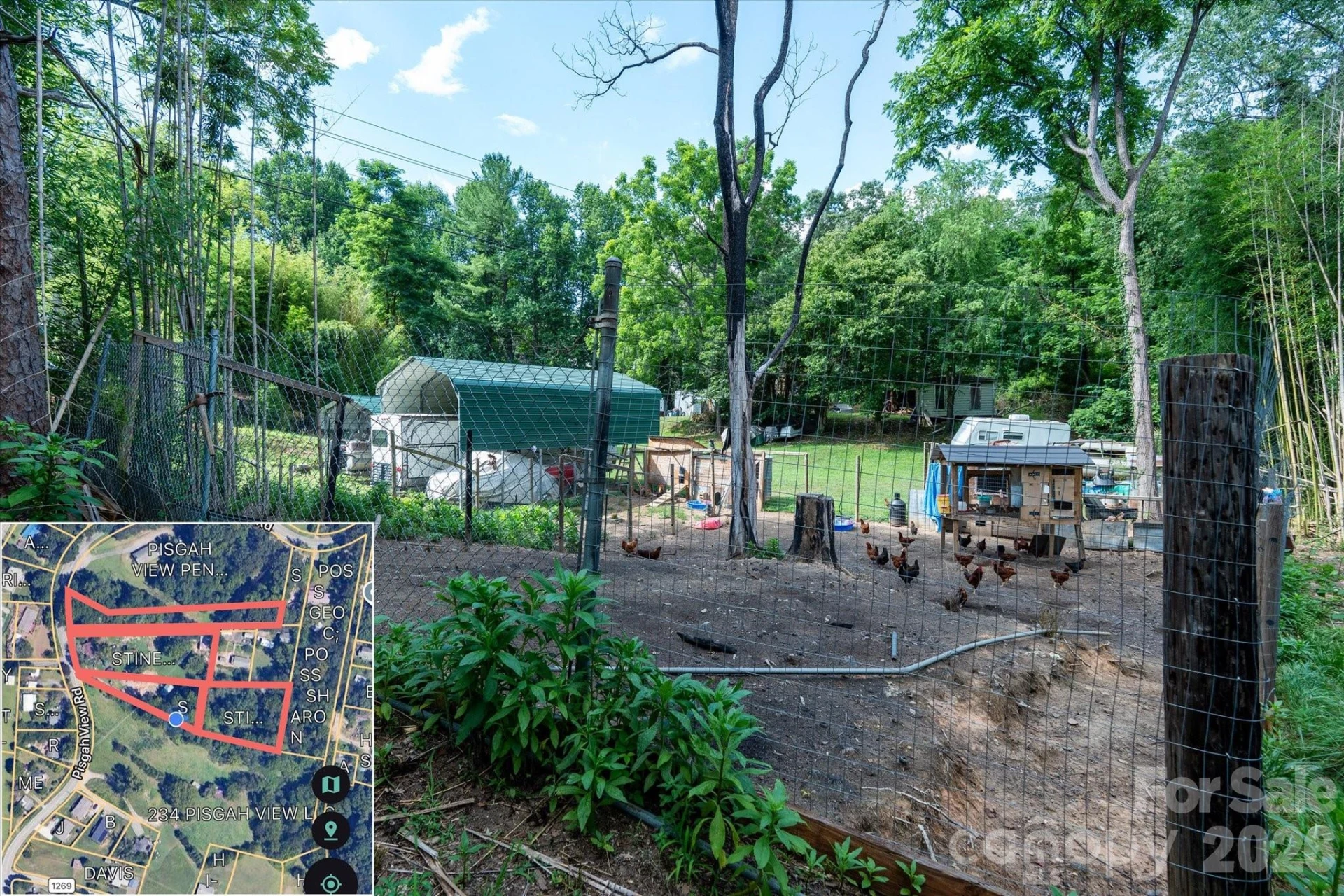 230 Pisgah View Road - Photo 19