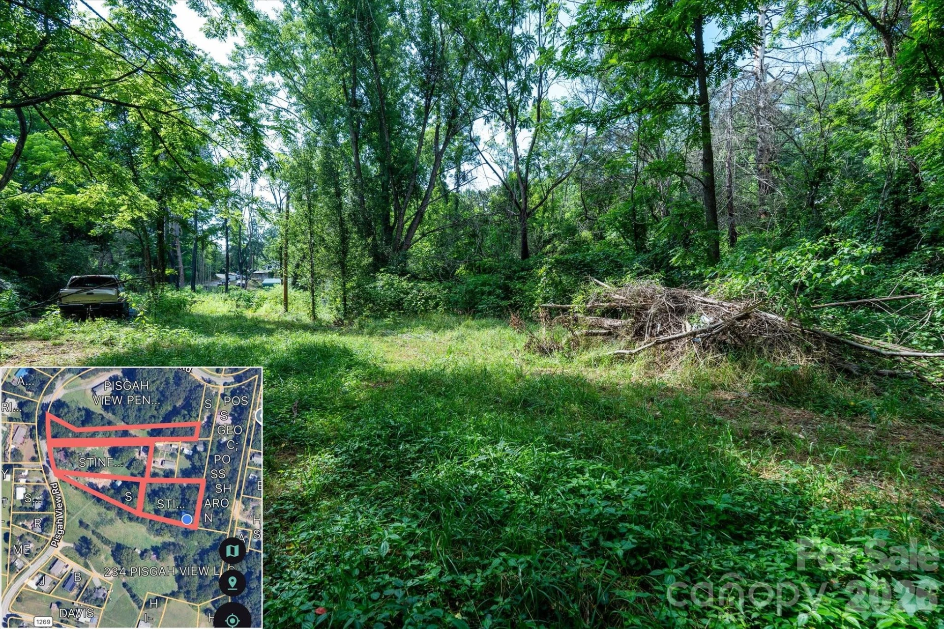 230 Pisgah View Road - Photo 22