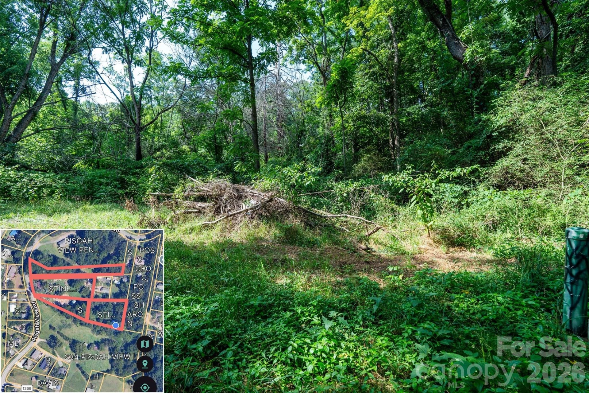 230 Pisgah View Road - Photo 23