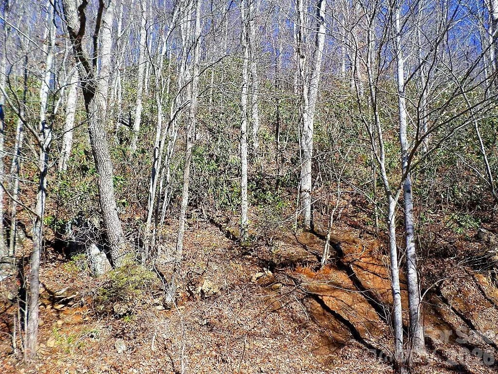 350 Mountain View Drive - Photo 2