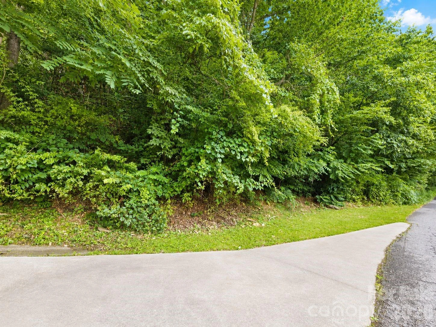 350 Mountain View Drive - Photo 3