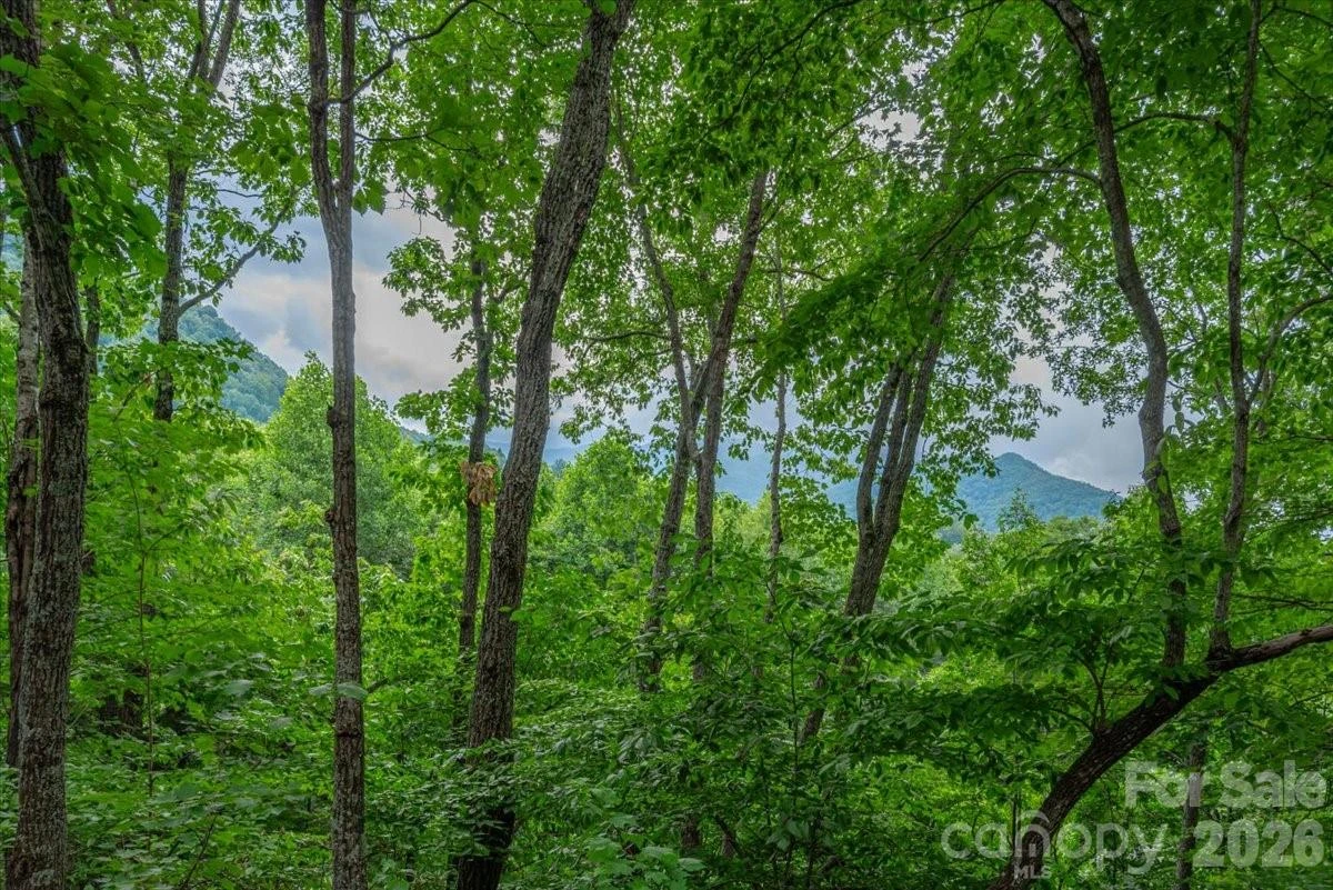 30 Rhododendron Drive - Photo 2