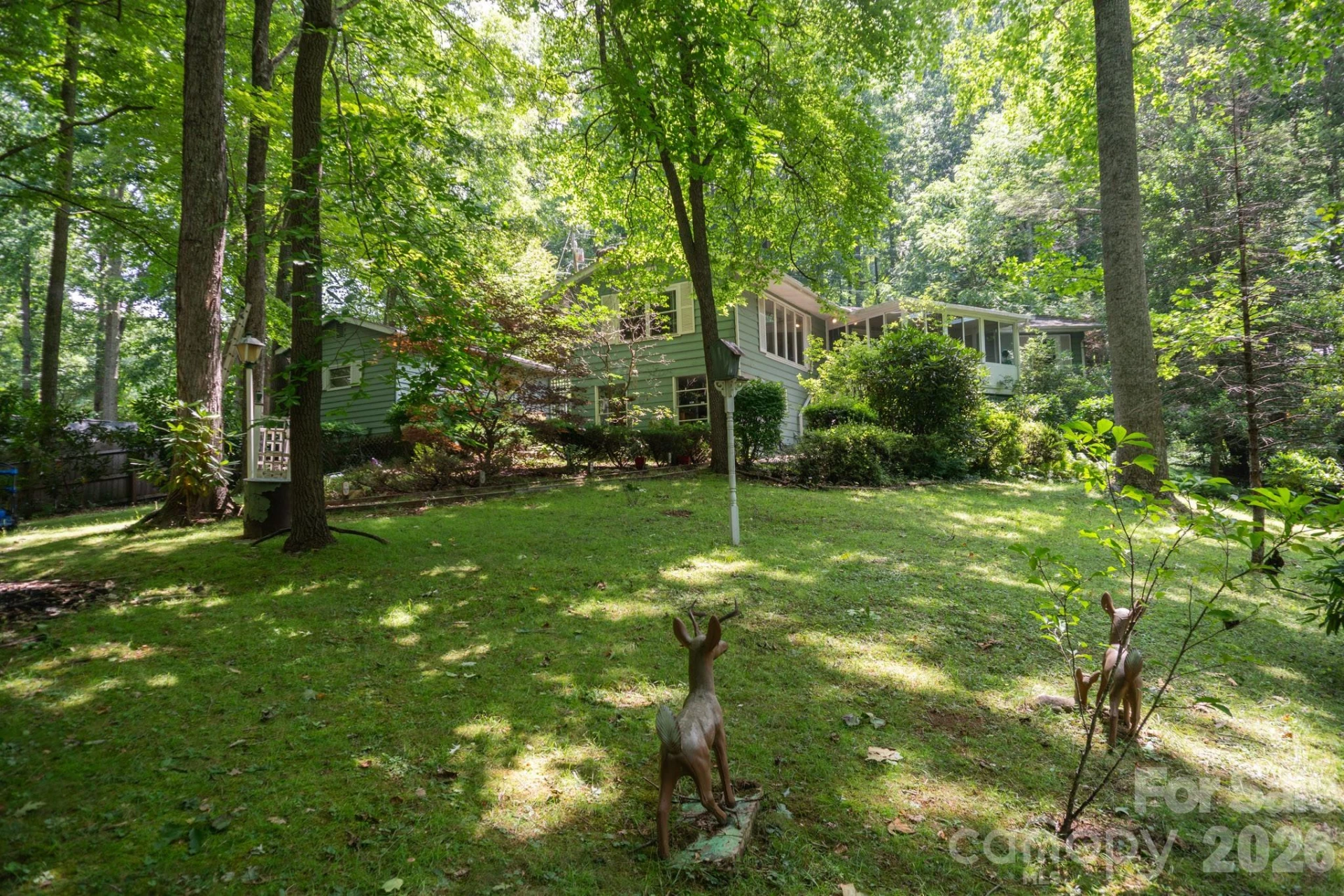 104 Ash Drive - Photo 4