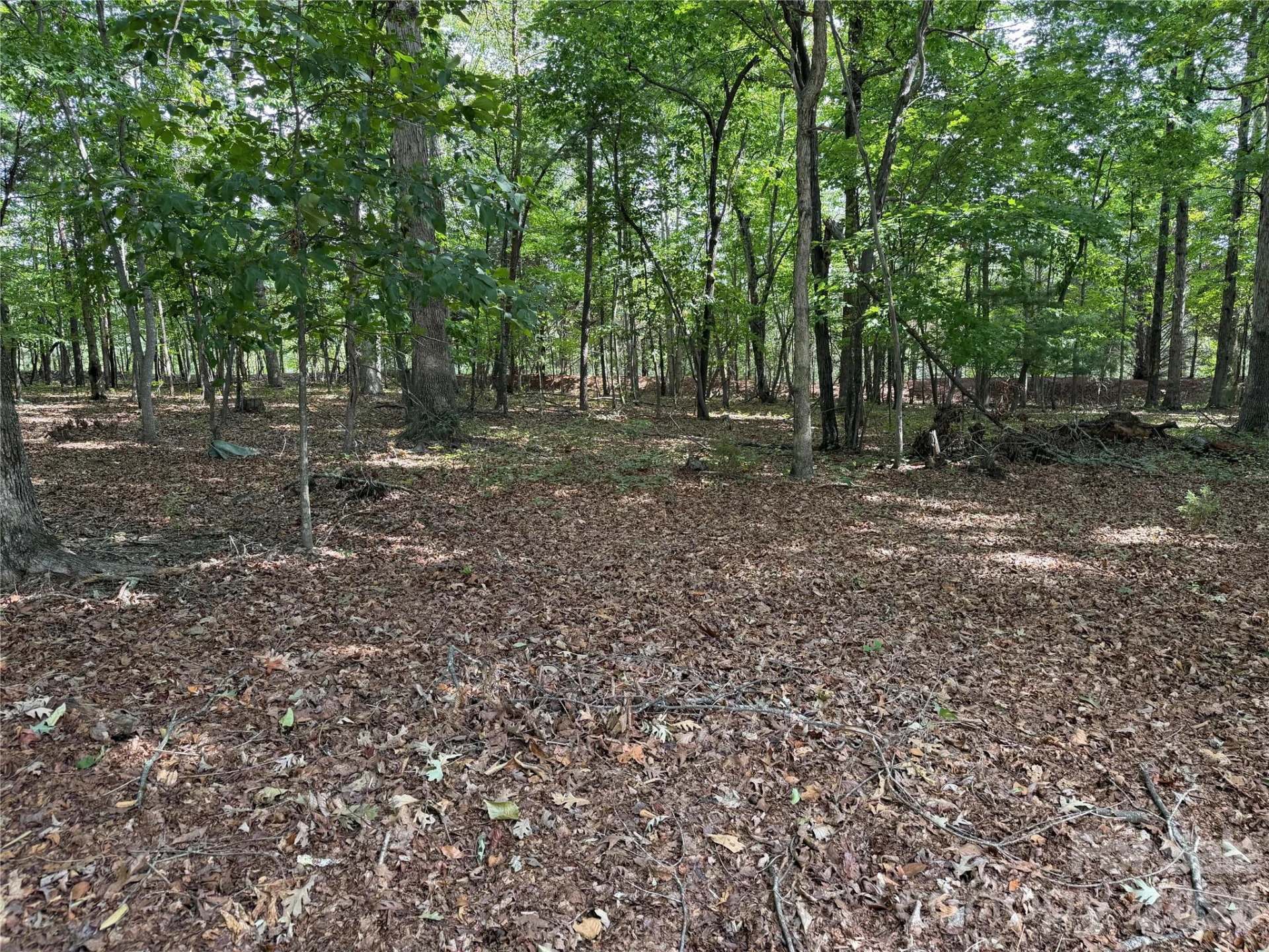 556 Gilbert Road - Photo 8