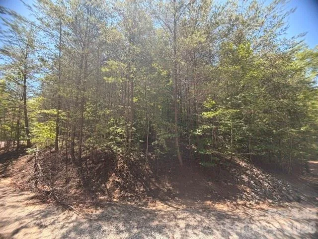 00 Sundance Drive, Nebo, NC, 28761