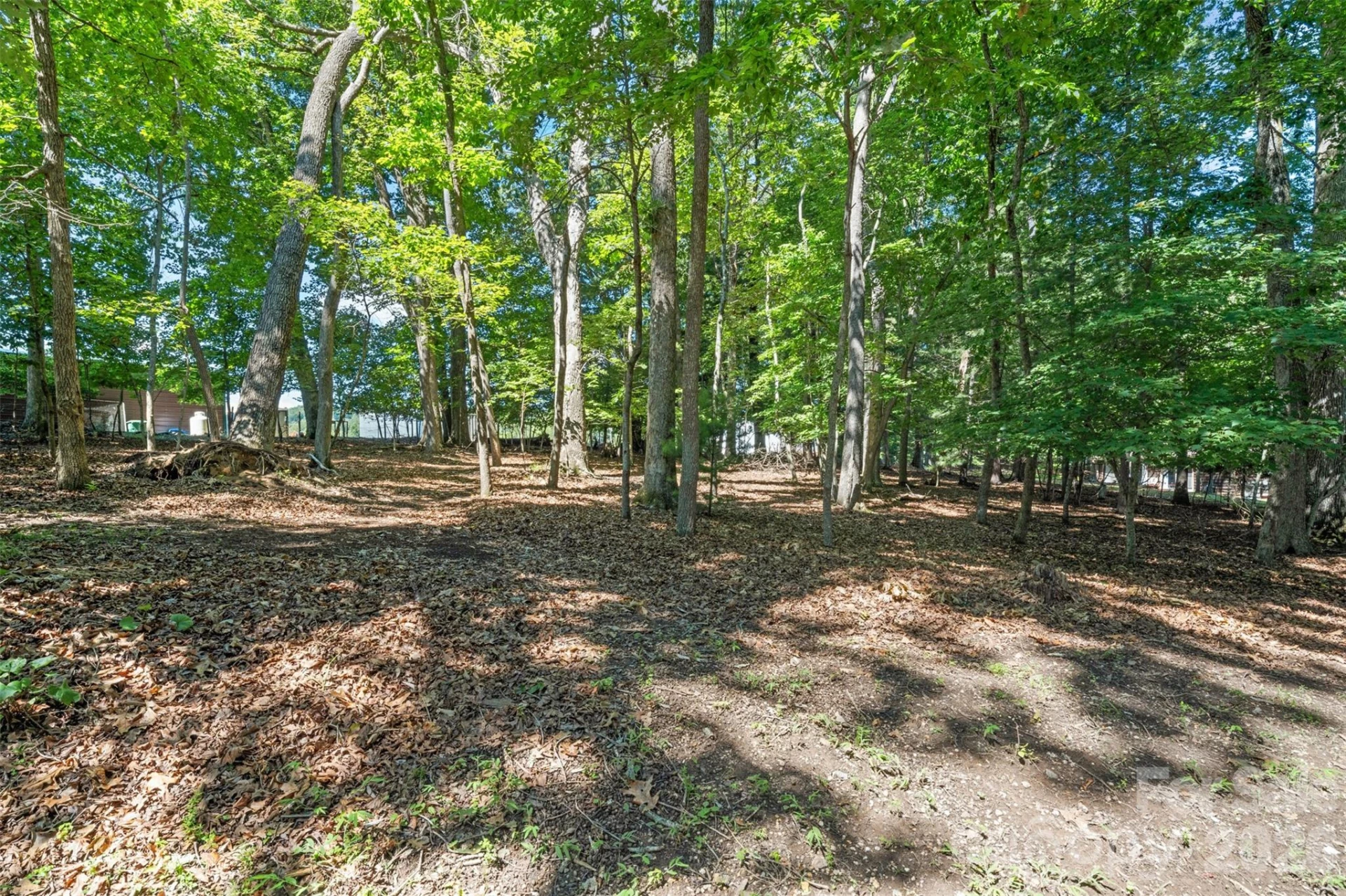 55 Overlook Drive - Photo 34