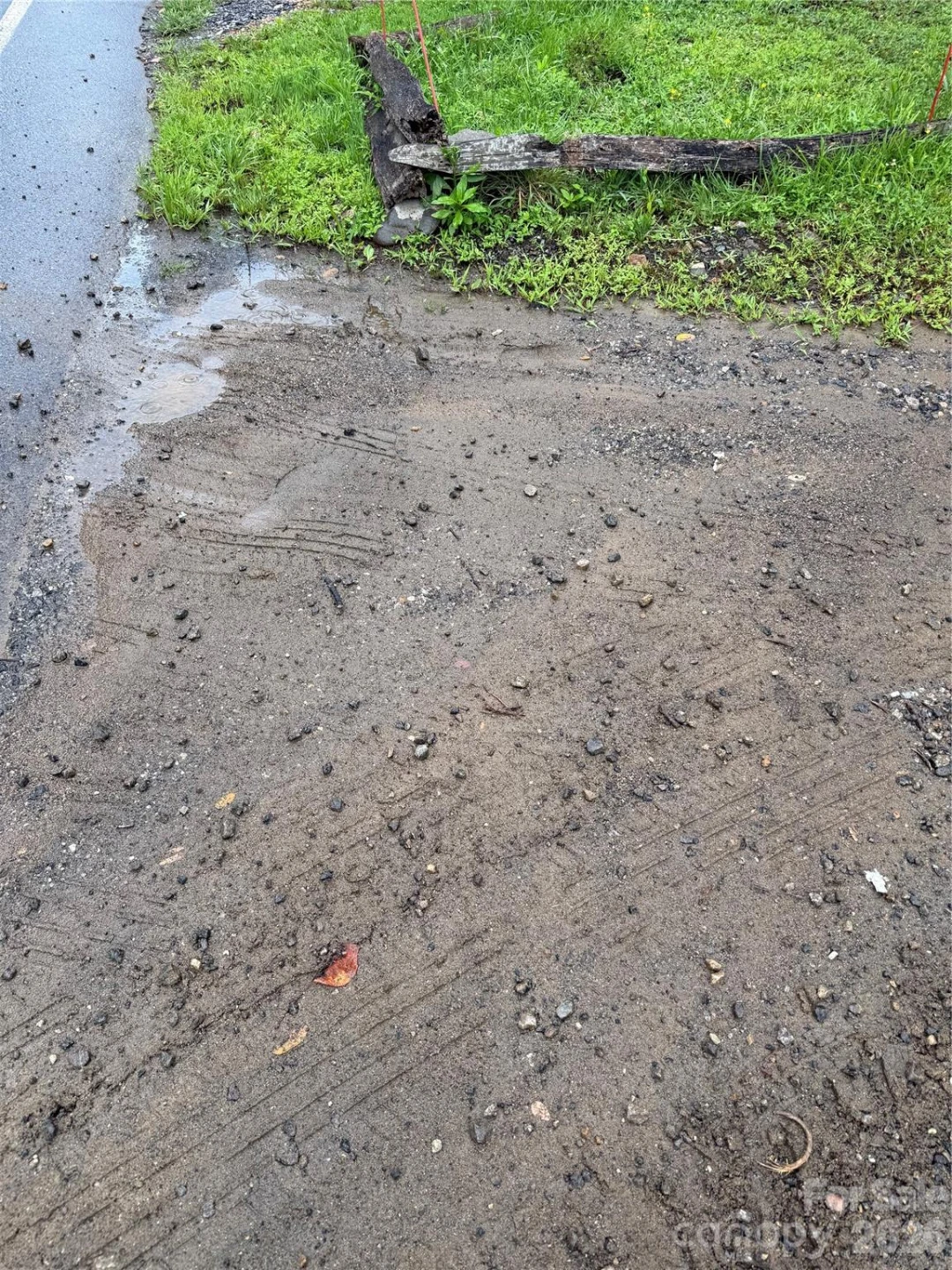 99999 Paint Fork Road - Photo 4