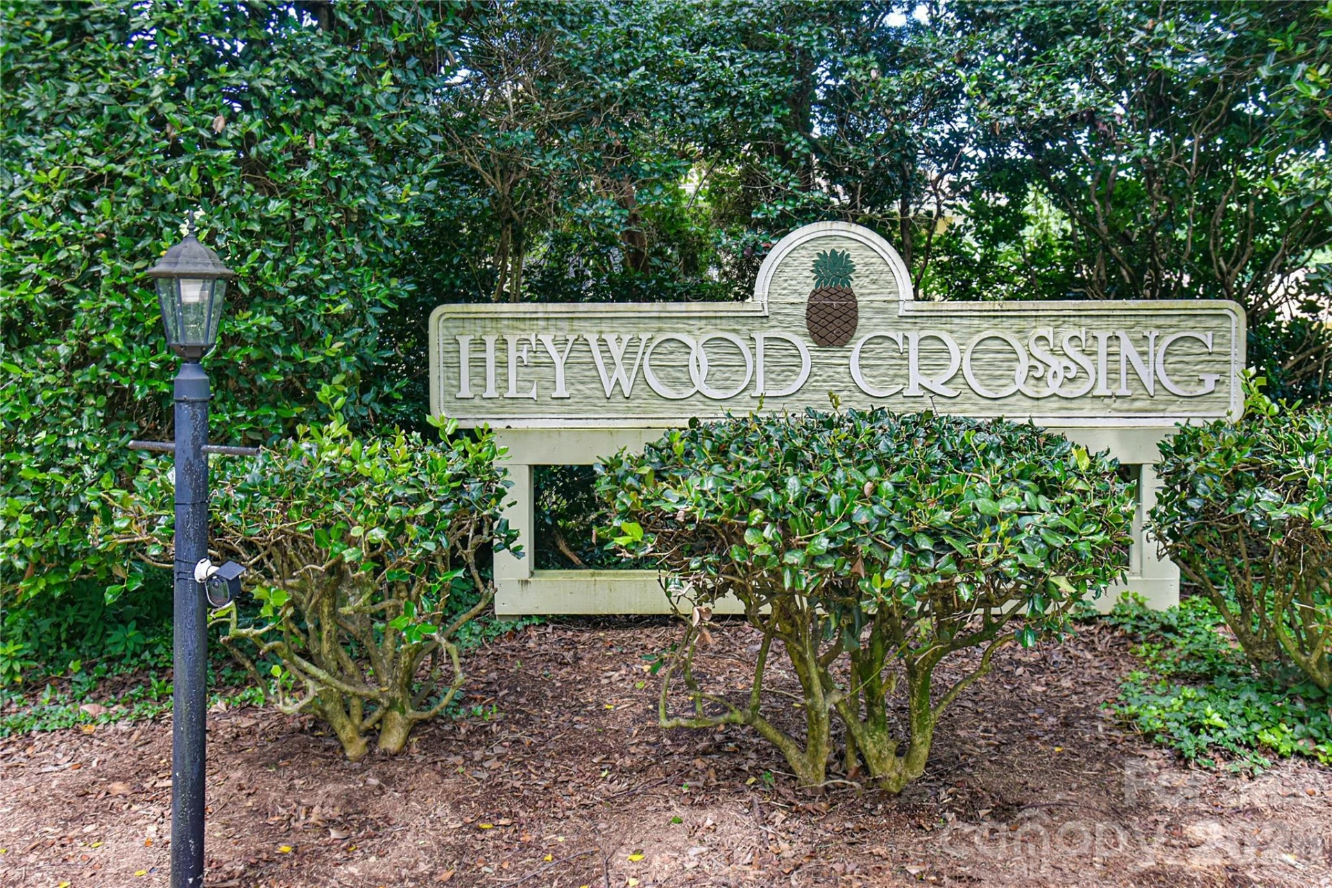110 Heywood Road #8D - Photo 23