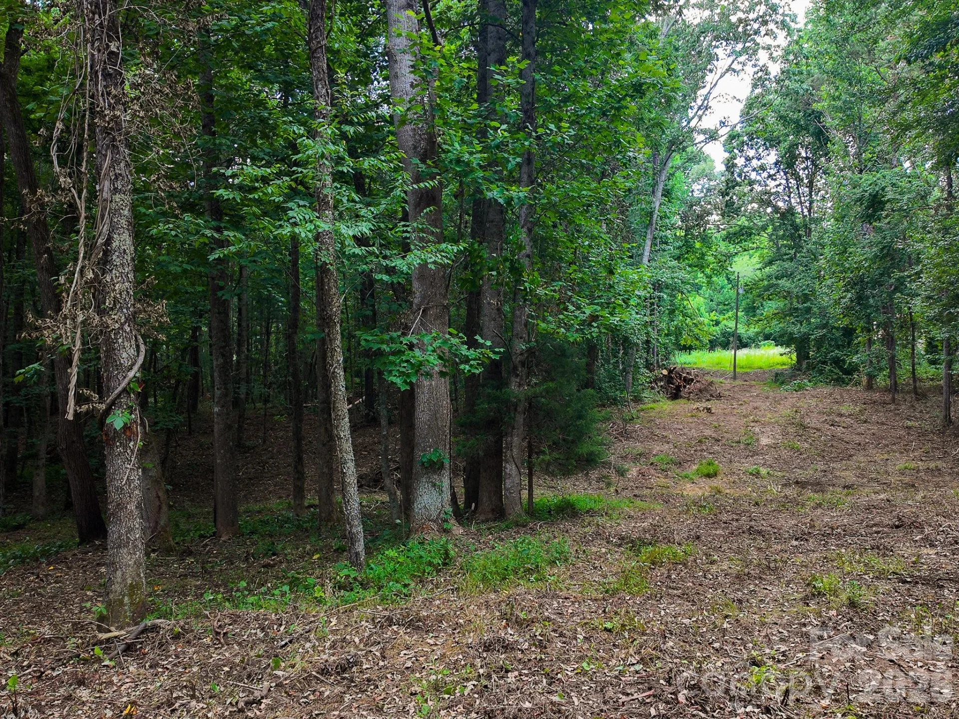 31 Burtiller Lane - Photo 12