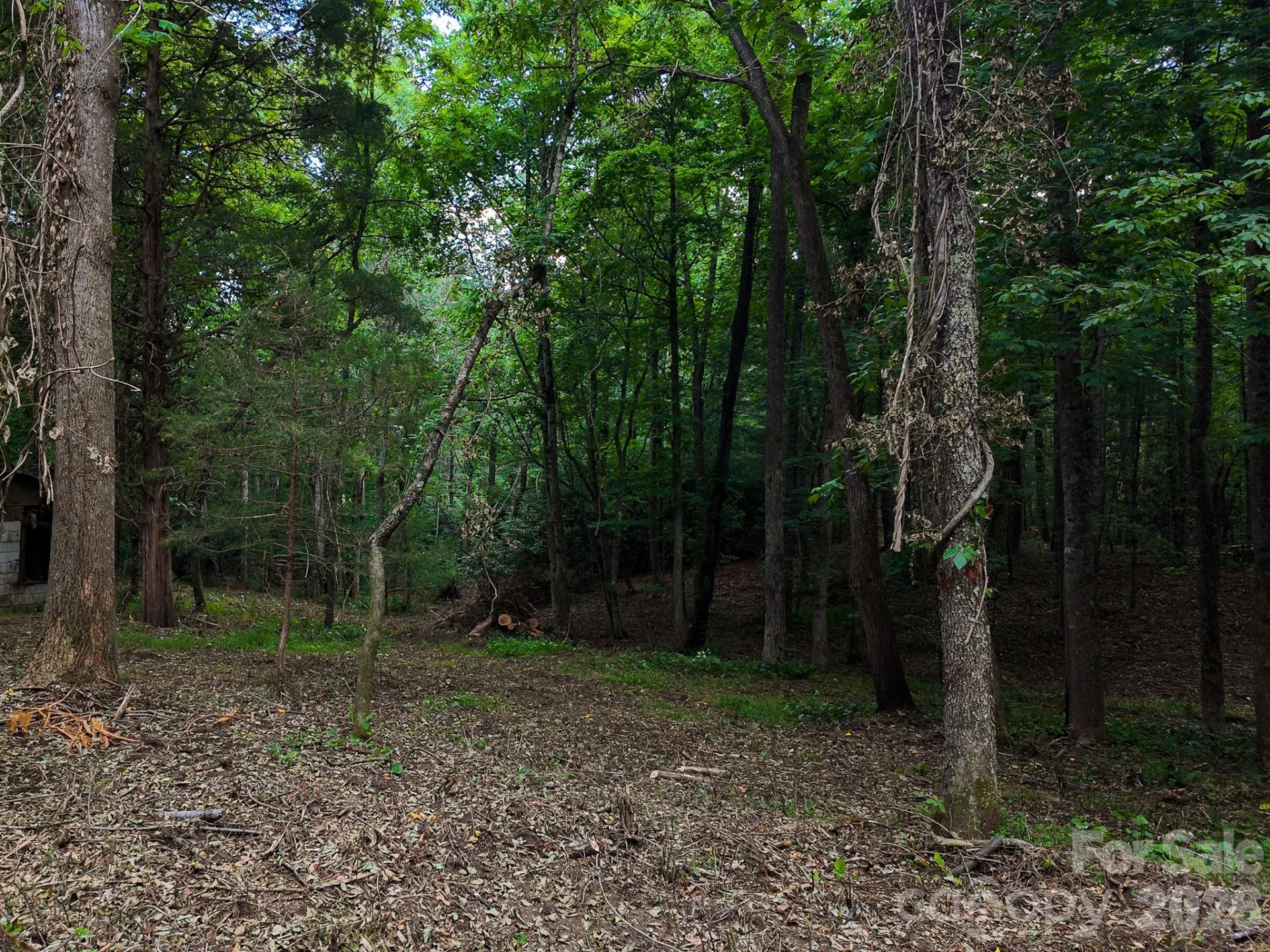 31 Burtiller Lane - Photo 13