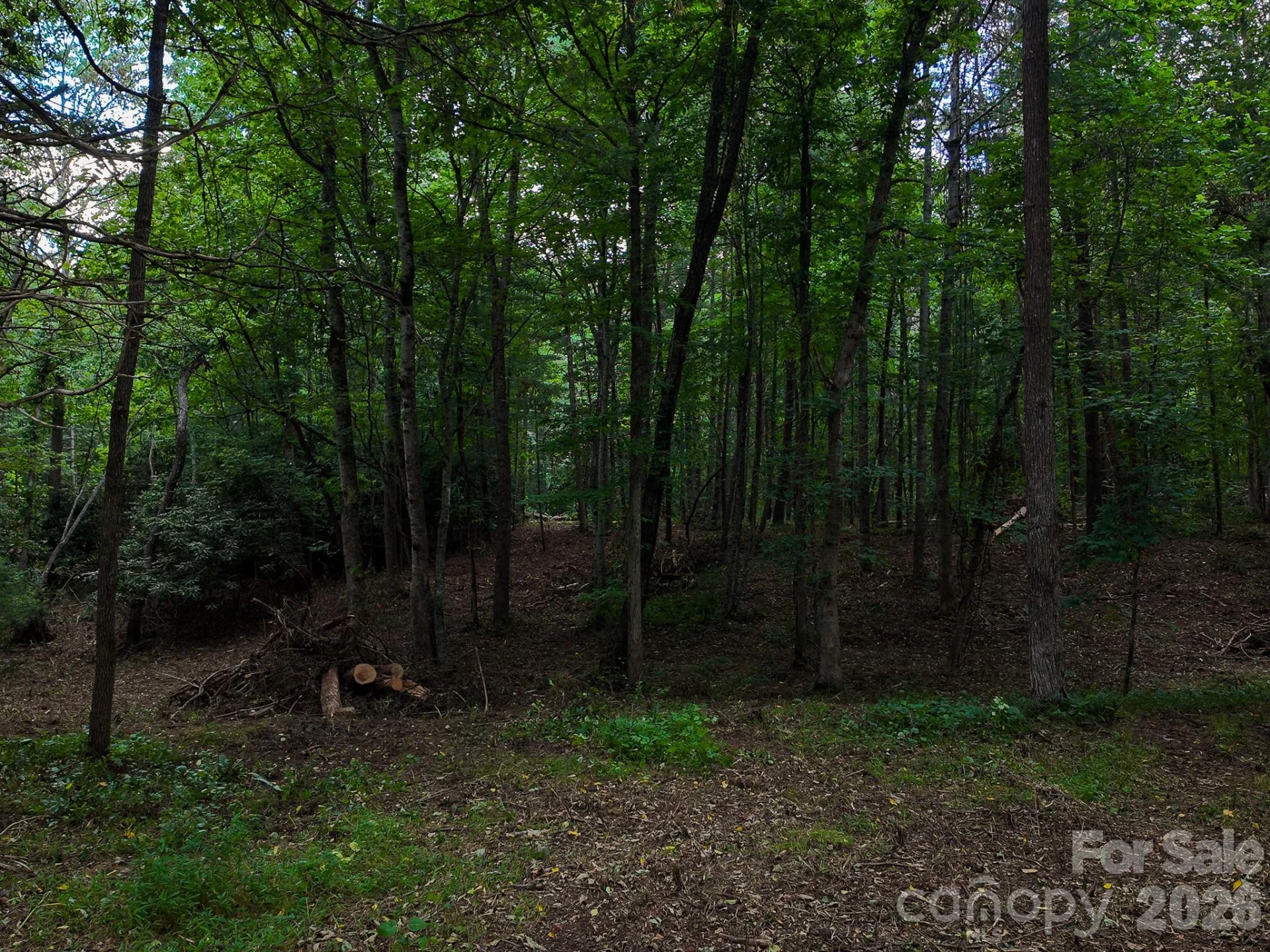 31 Burtiller Lane - Photo 14