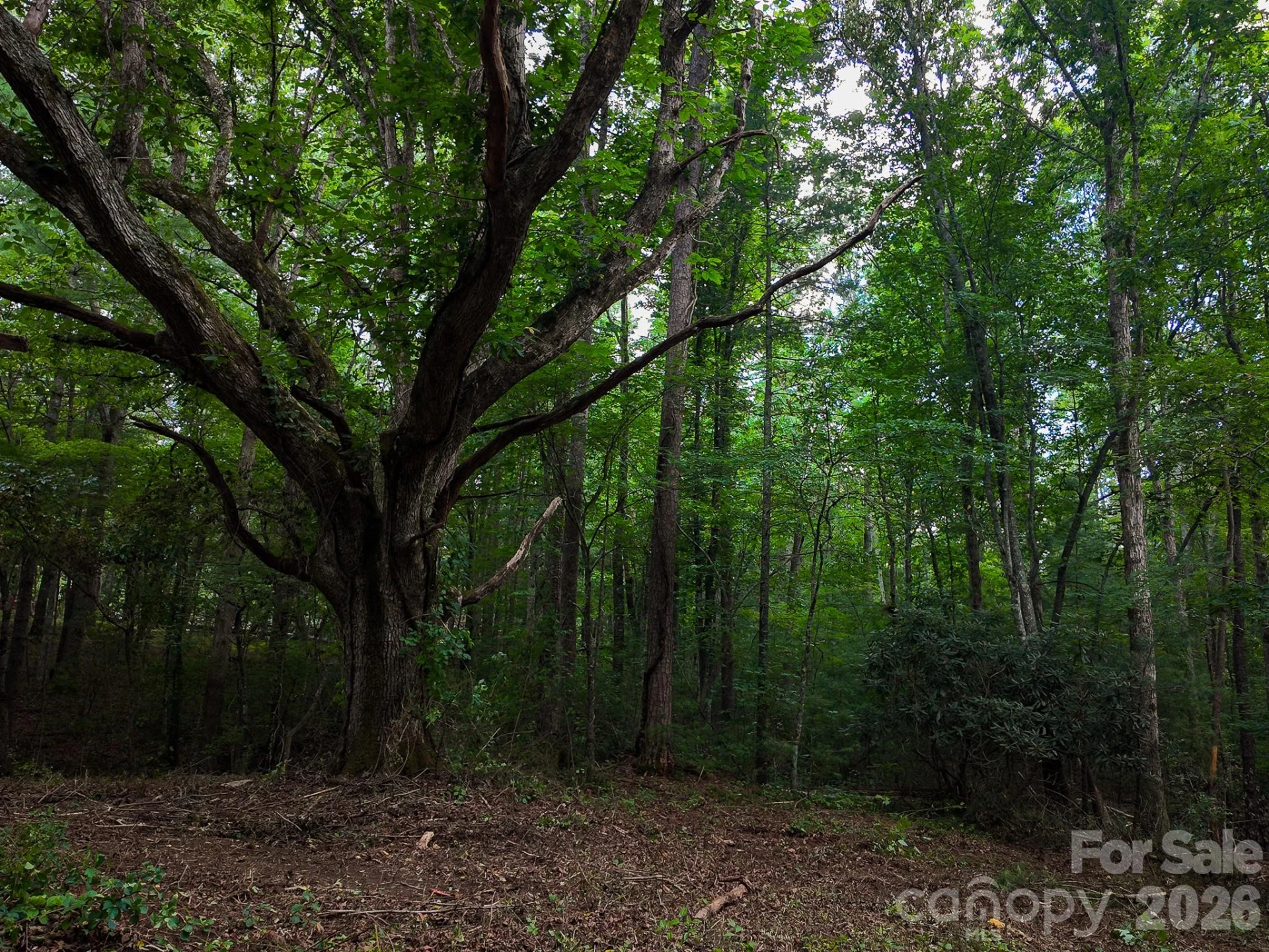31 Burtiller Lane - Photo 15
