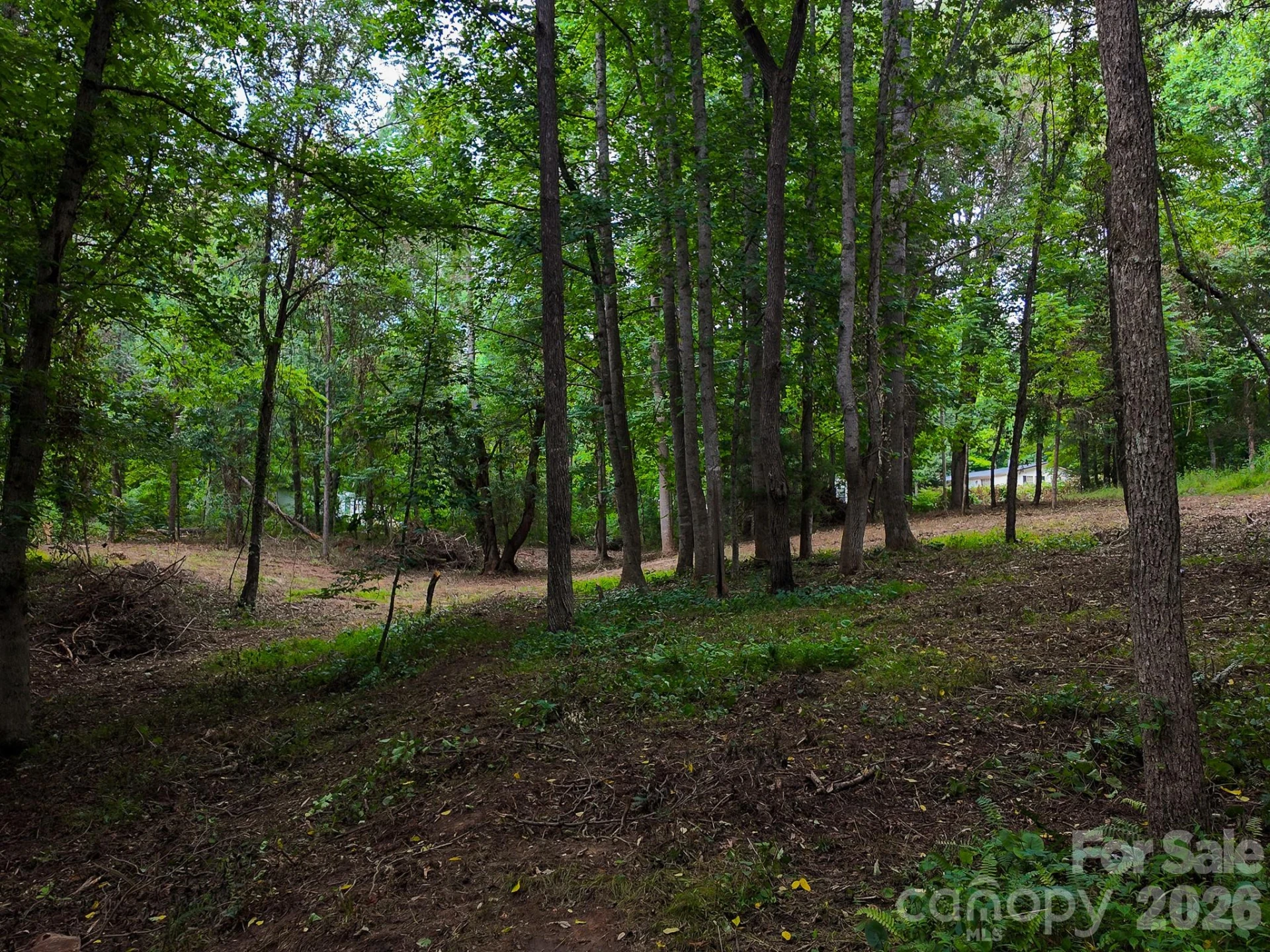 31 Burtiller Lane - Photo 3