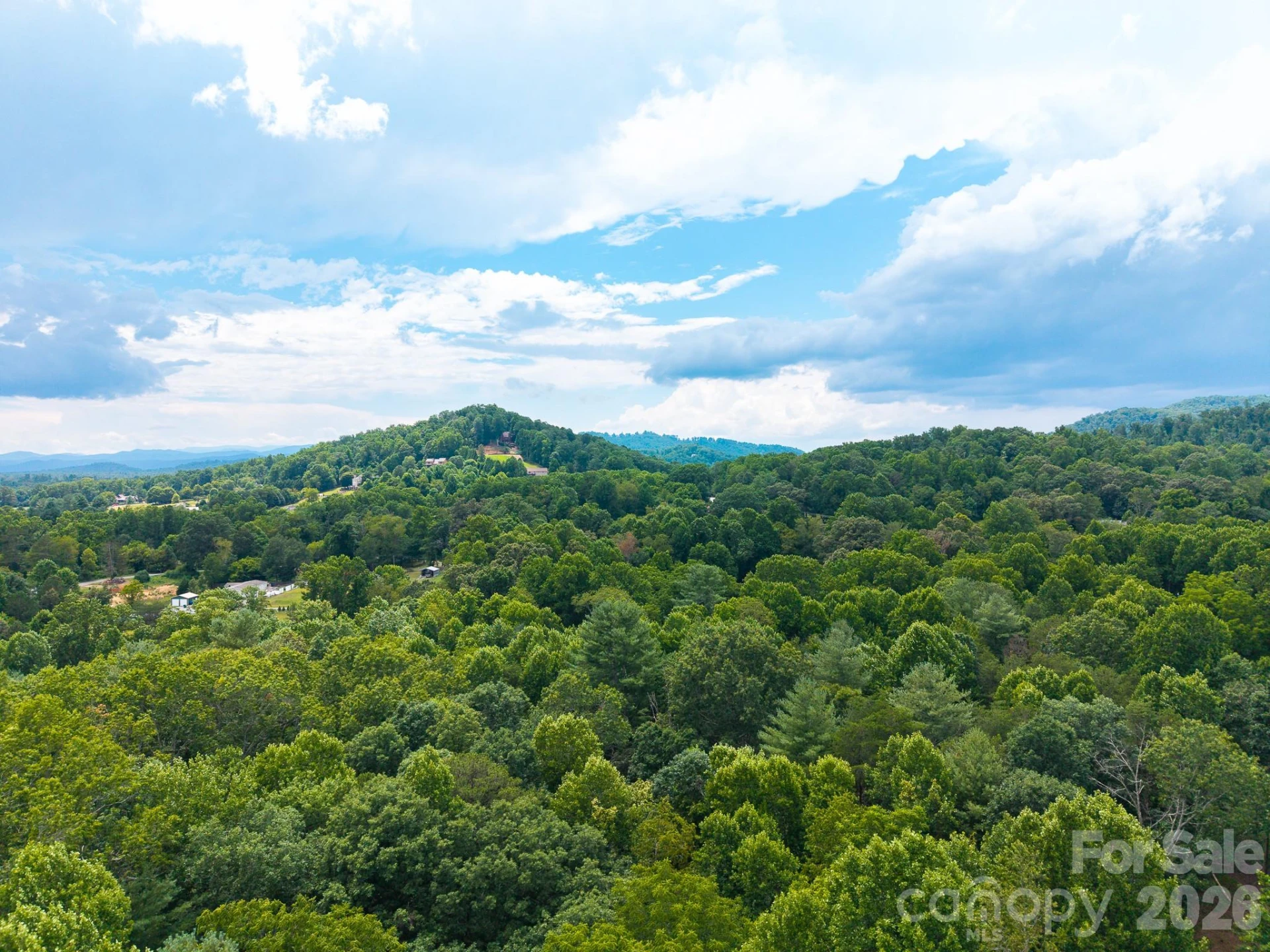 31 Burtiller Lane - Photo 7