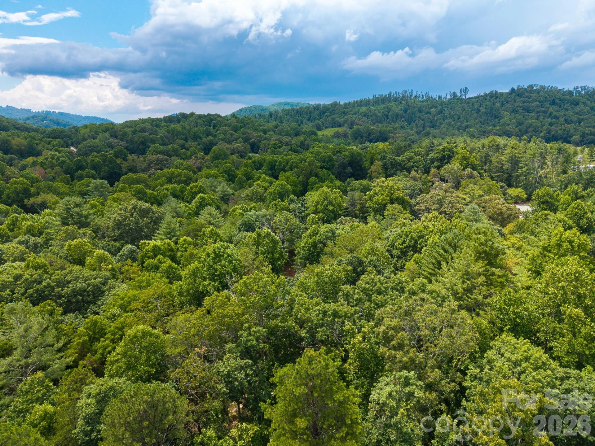 31 Burtiller Lane - Photo 8
