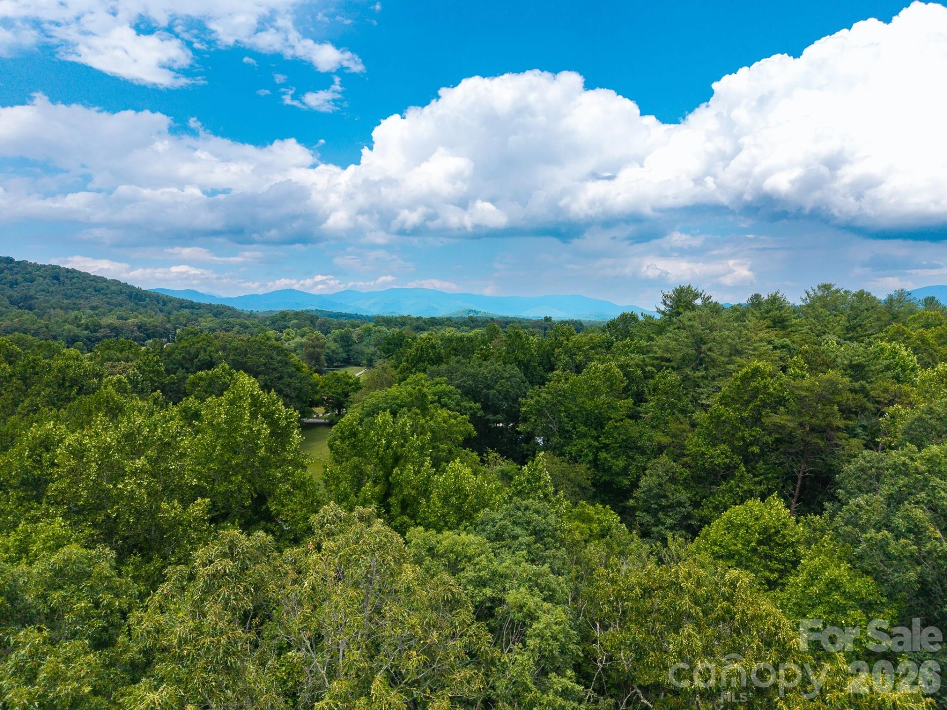 31 Burtiller Lane - Photo 9