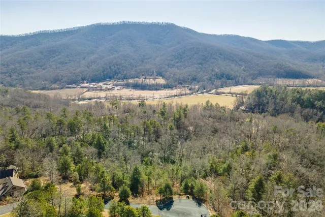 99999 Woodhen Way, Horse Shoe, NC, 28742
