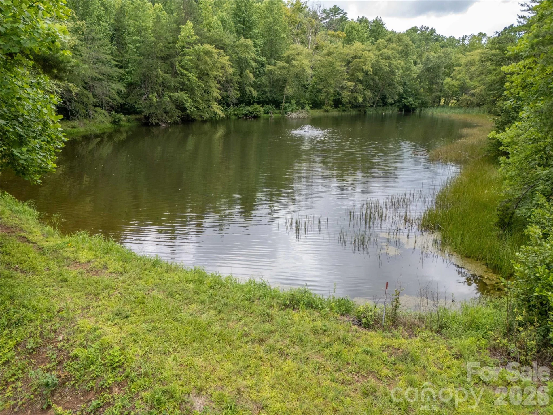 717 Frog Creek Road - Photo 3
