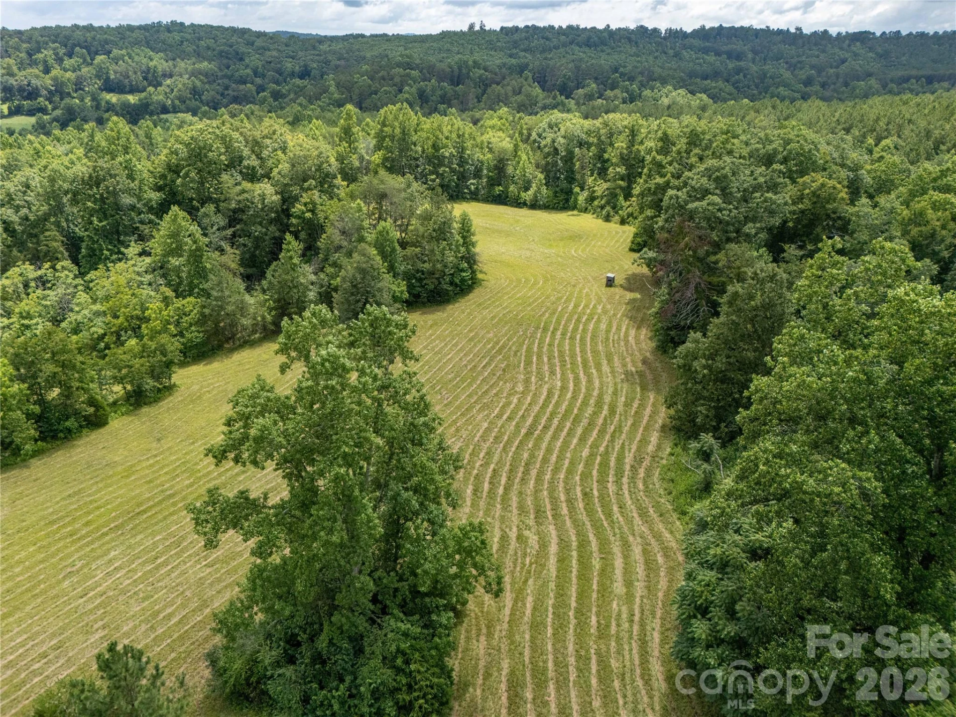 717 Frog Creek Road - Photo 5