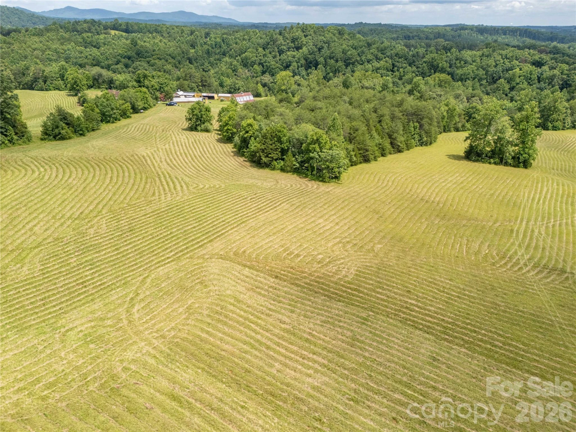 717 Frog Creek Road - Photo 6