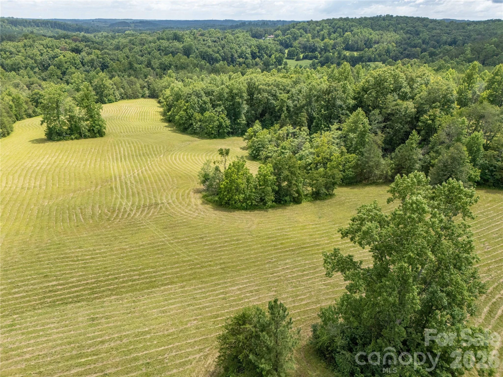 717 Frog Creek Road - Photo 7