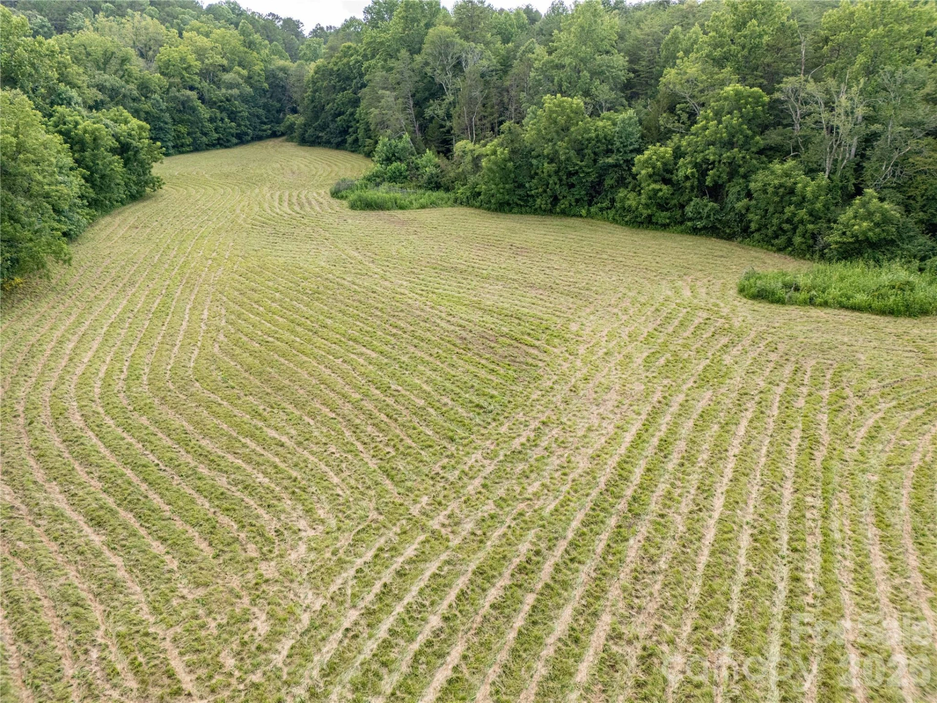 717 Frog Creek Road - Photo 9