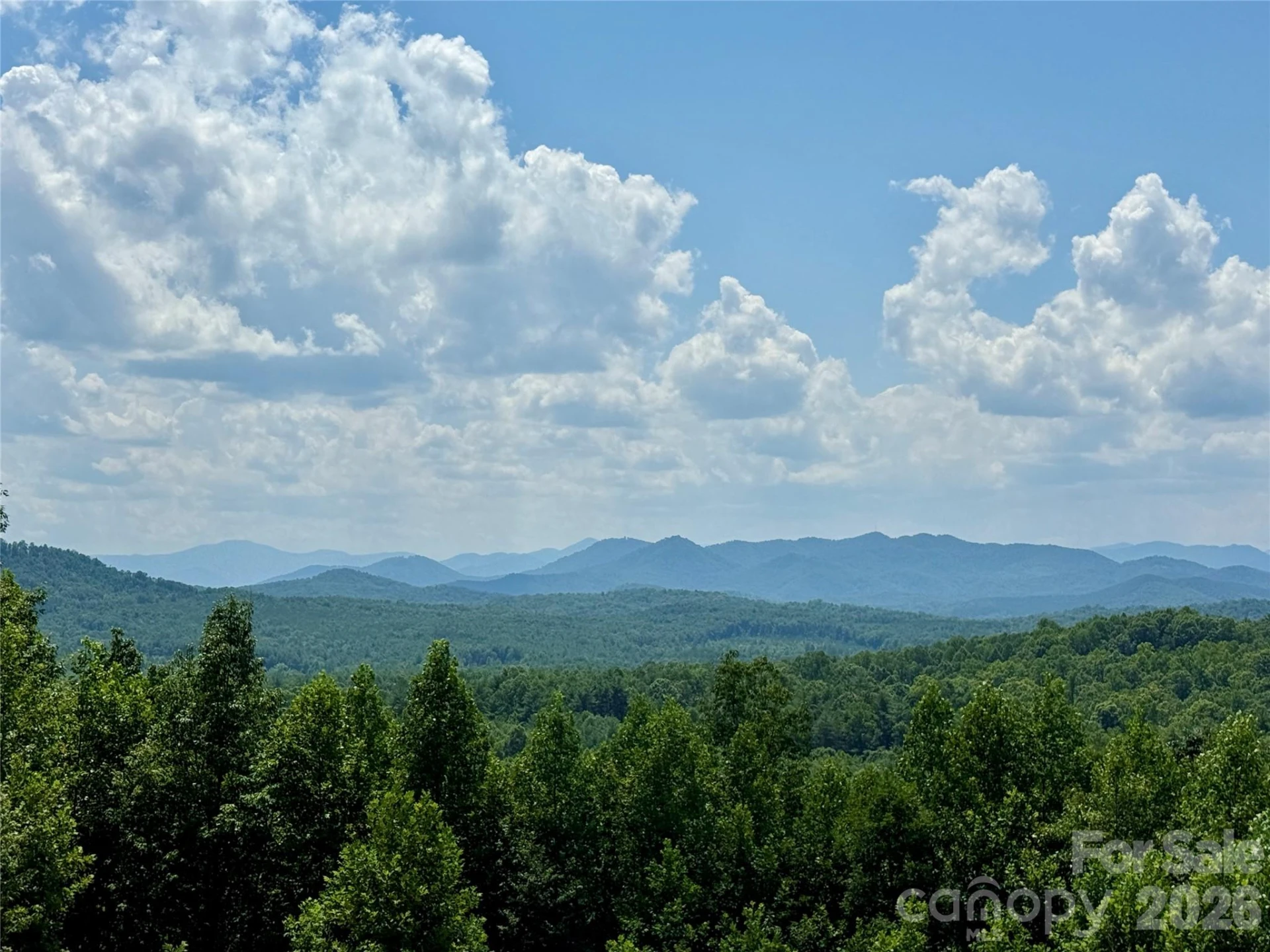 V/L Summit Trail #82 - Photo 2