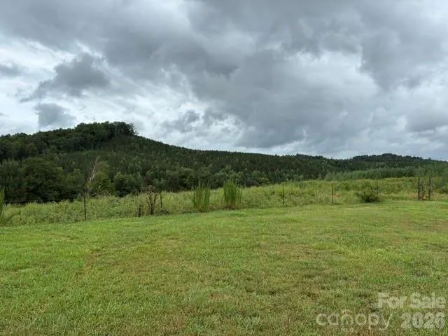 83 Acres +/- Pleasant Grove Road, Rutherfordton, NC, 28139