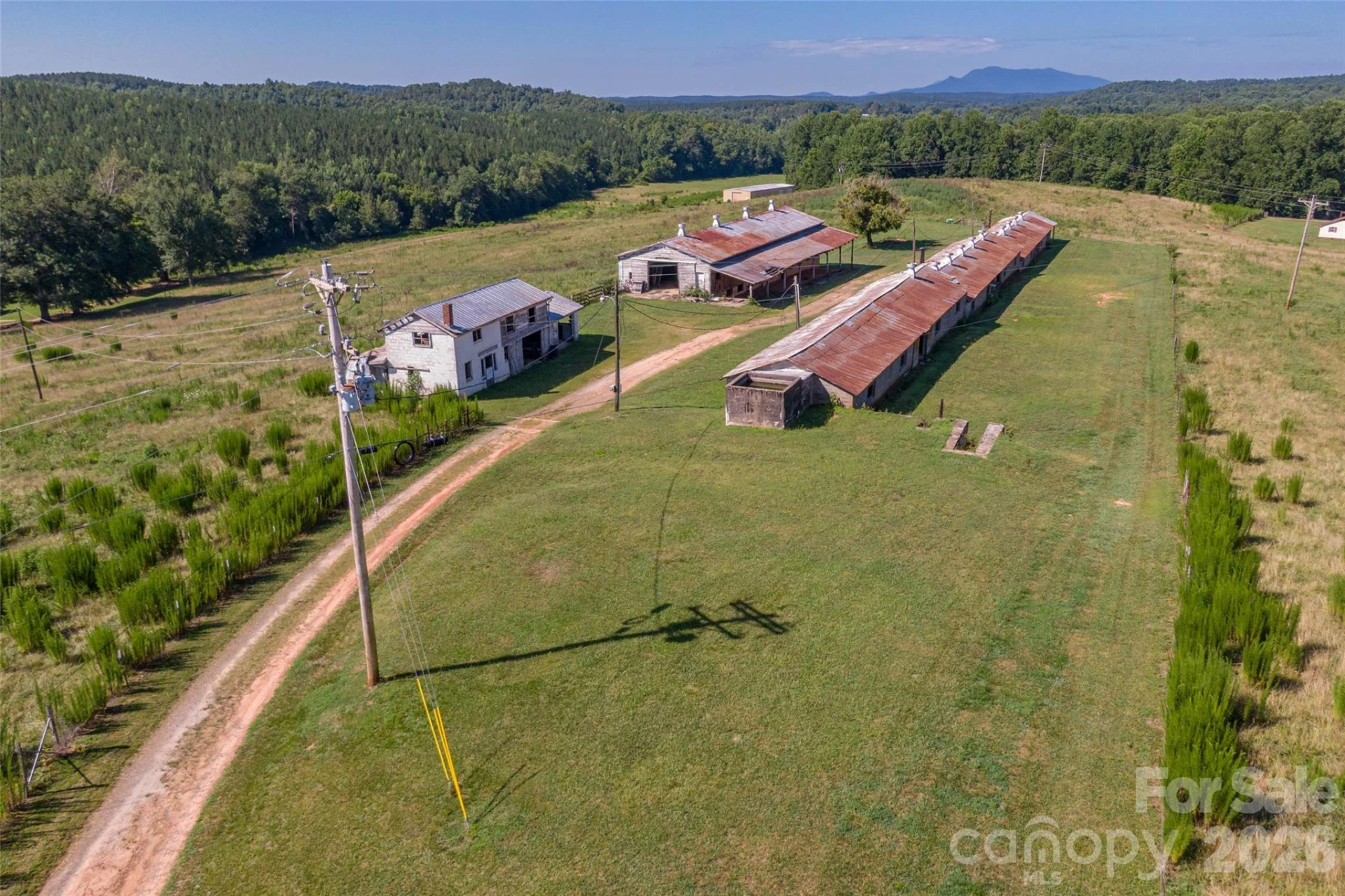 83 Acres +/- Pleasant Grove Road - Photo 23