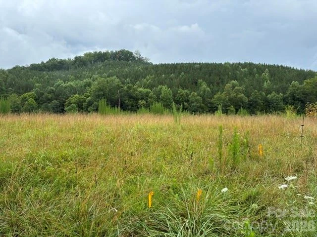 83 Acres +/- Pleasant Grove Road - Photo 6