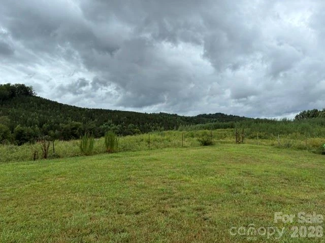 83 Acres +/- Pleasant Grove Road - Photo 7