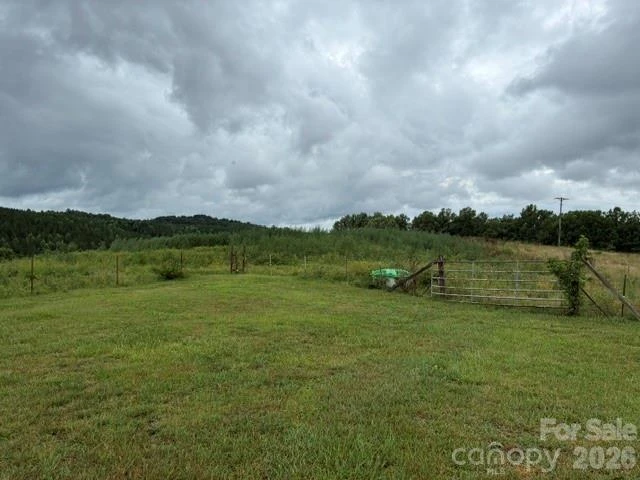 83 Acres +/- Pleasant Grove Road - Photo 8