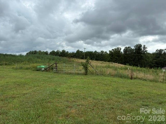 83 Acres +/- Pleasant Grove Road - Photo 9