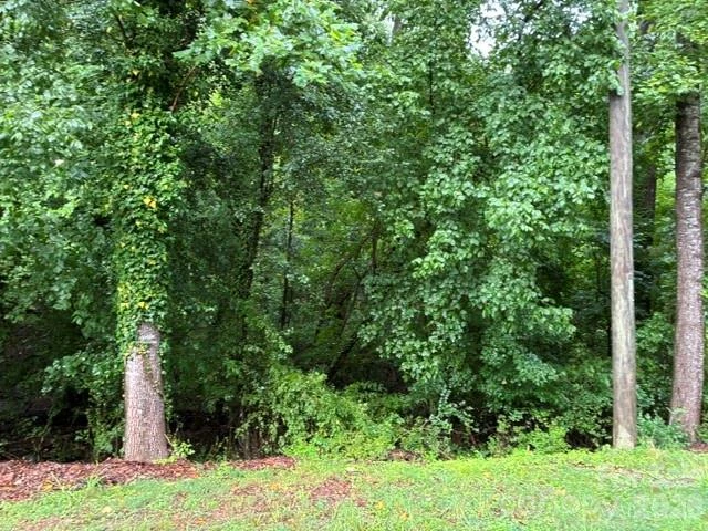 2.85 acres +/- Kimbrell Lane - Photo 4