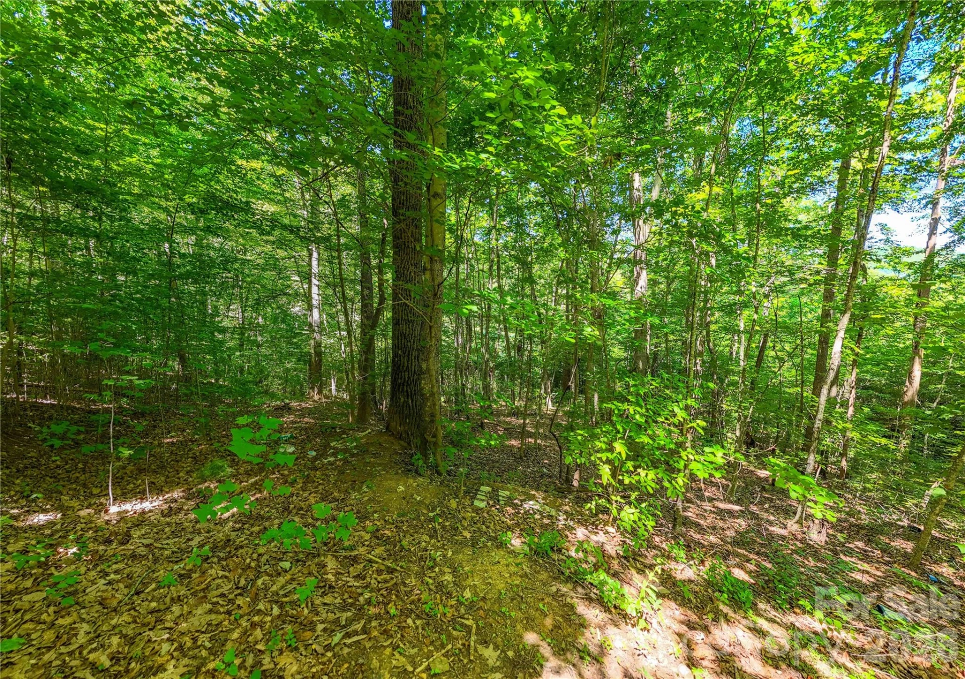 71 Timberwood Drive - Photo 3