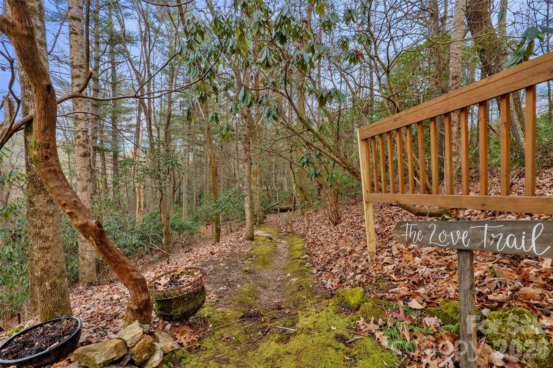 125 Little Willow Circle - Photo 30
