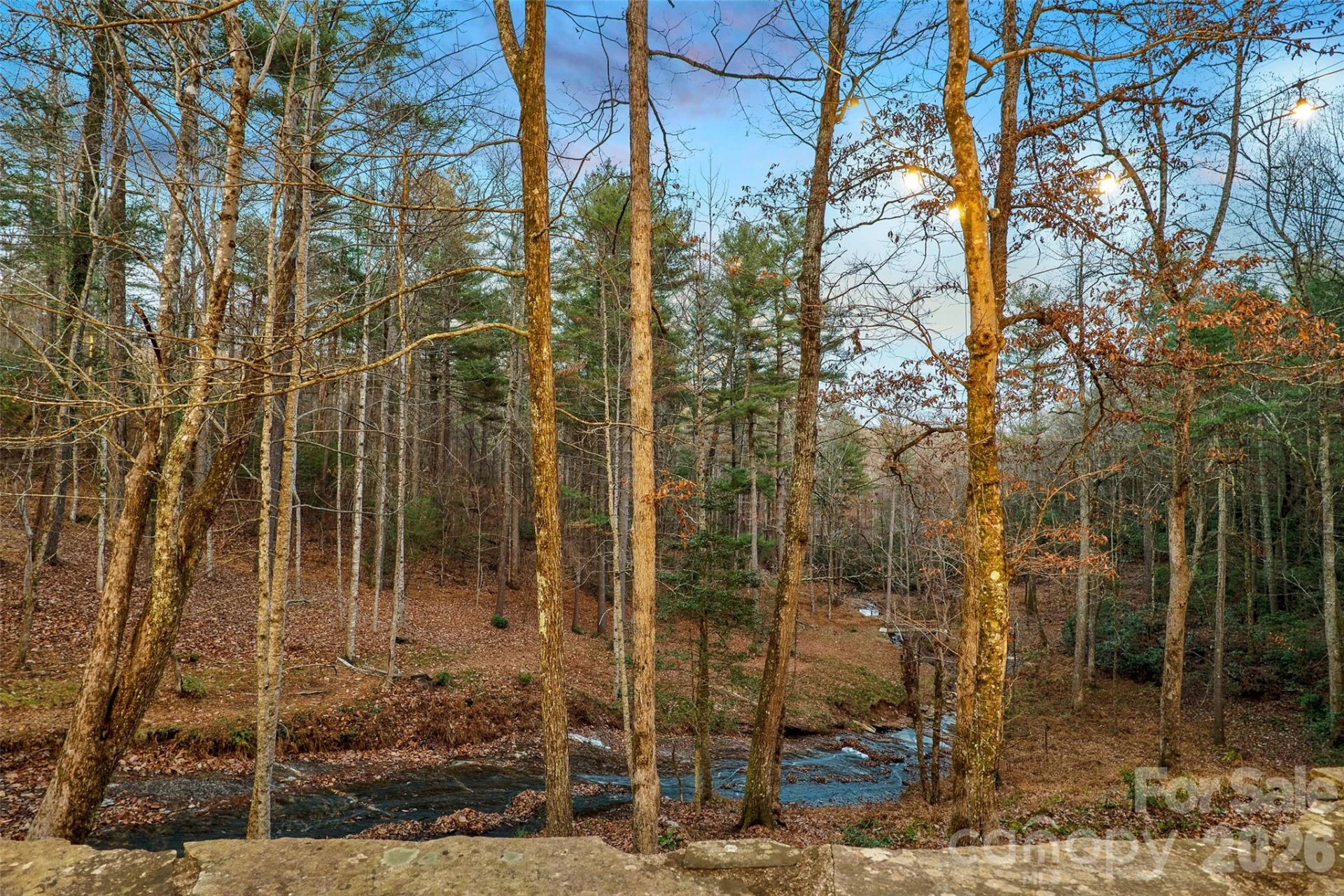 125 Little Willow Circle - Photo 32