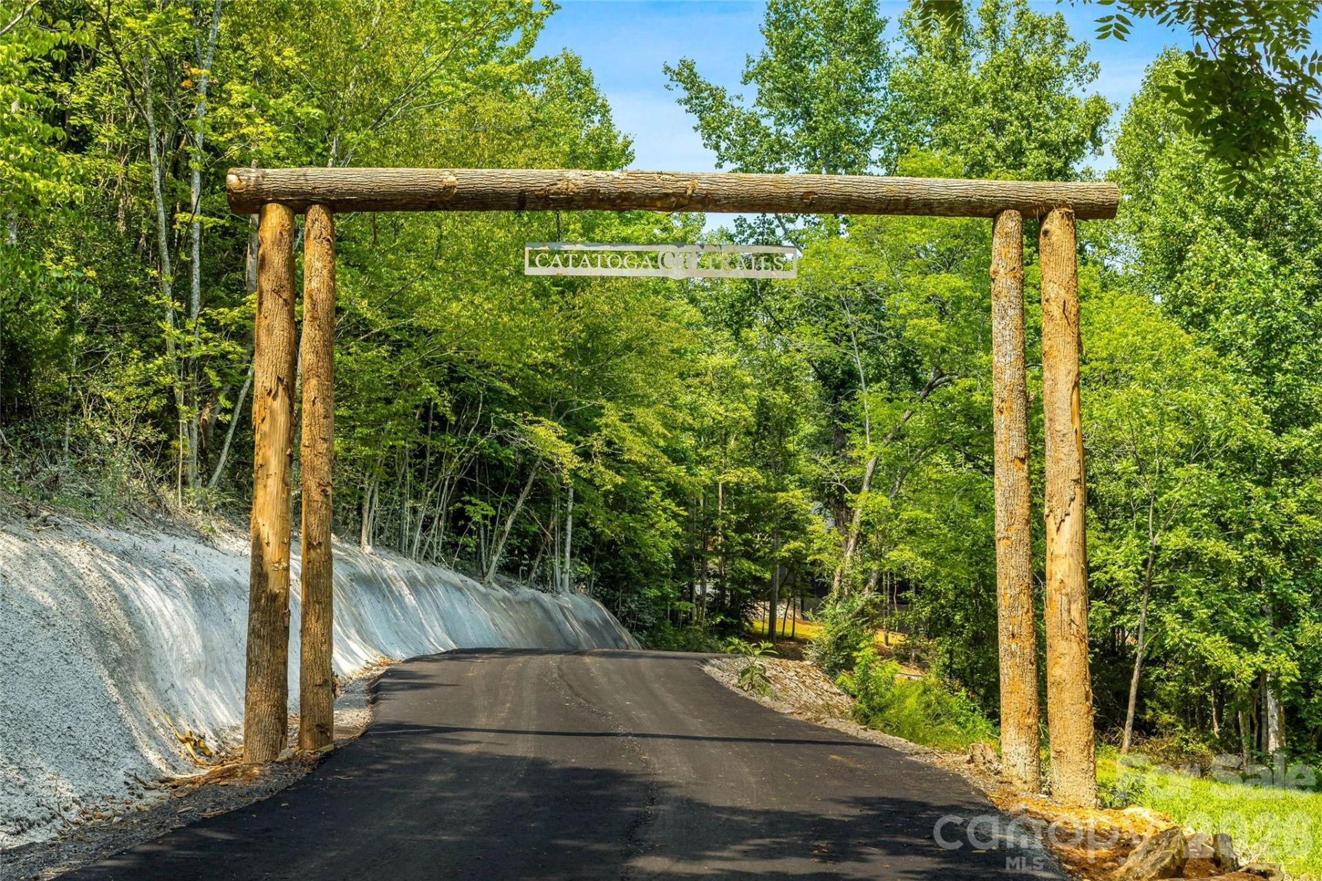 60 Catatoga Trail - Photo 10