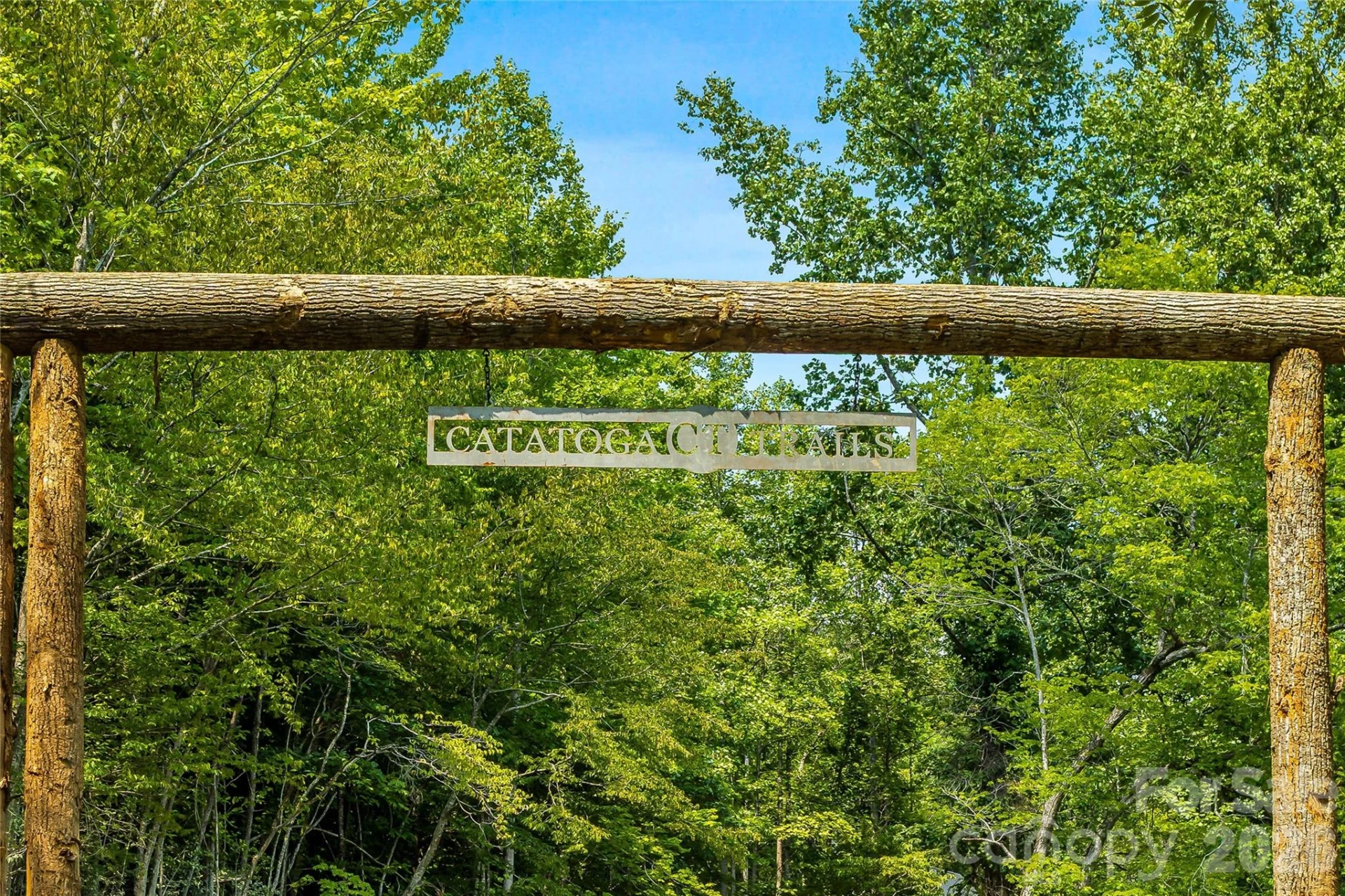 119 Catatoga Trail - Photo 8
