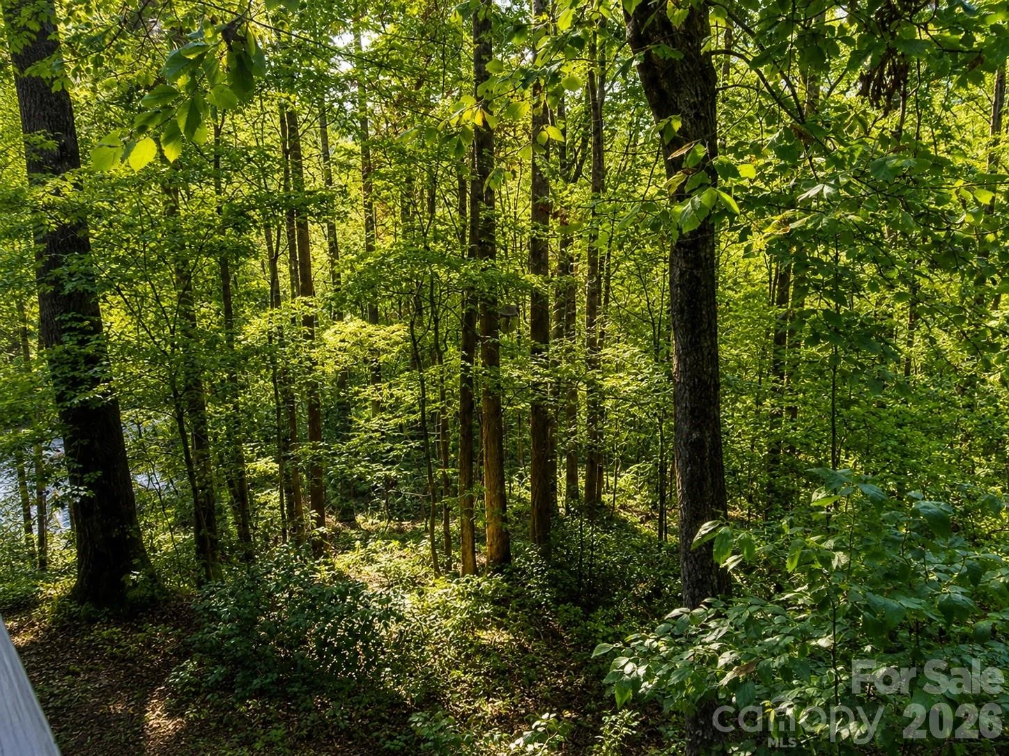 721 Bear Creek Lane - Photo 25