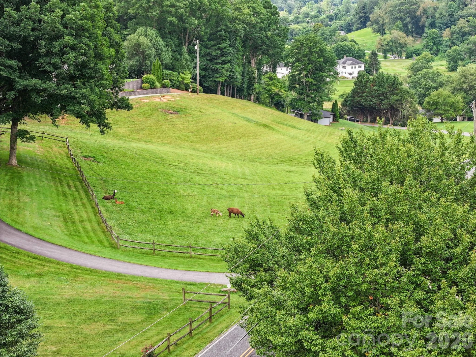 415 Knollwood Drive - Photo 32