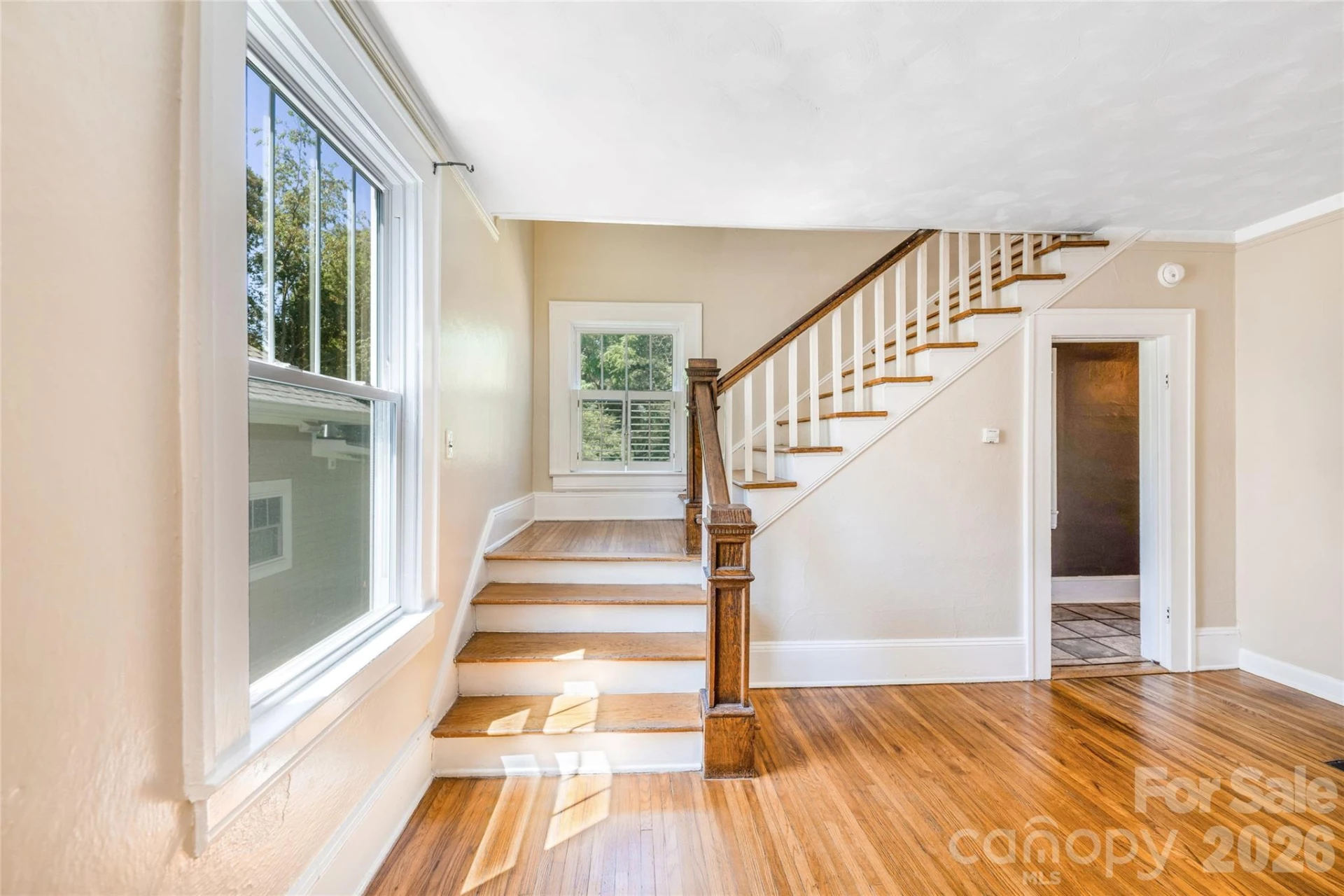 109 Forest Hill Drive - Photo 5