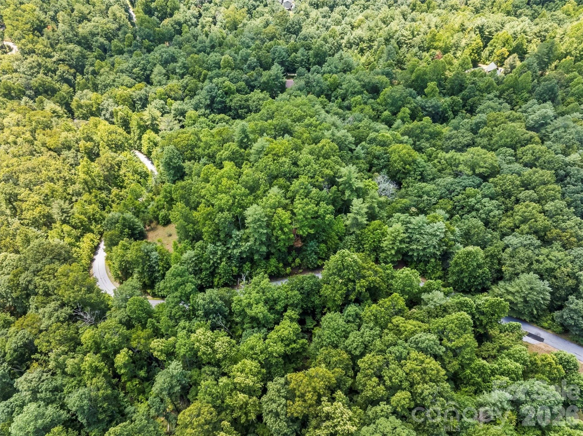 Lot 21 Big Raven Lane - Photo 2